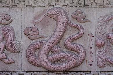 《英雄联盟》传奇选手Perkz宣布退役 曾斩获S9亚军19MSI冠军