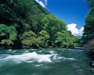 《索尼克：起源》这个画面居然会卡你敢信？